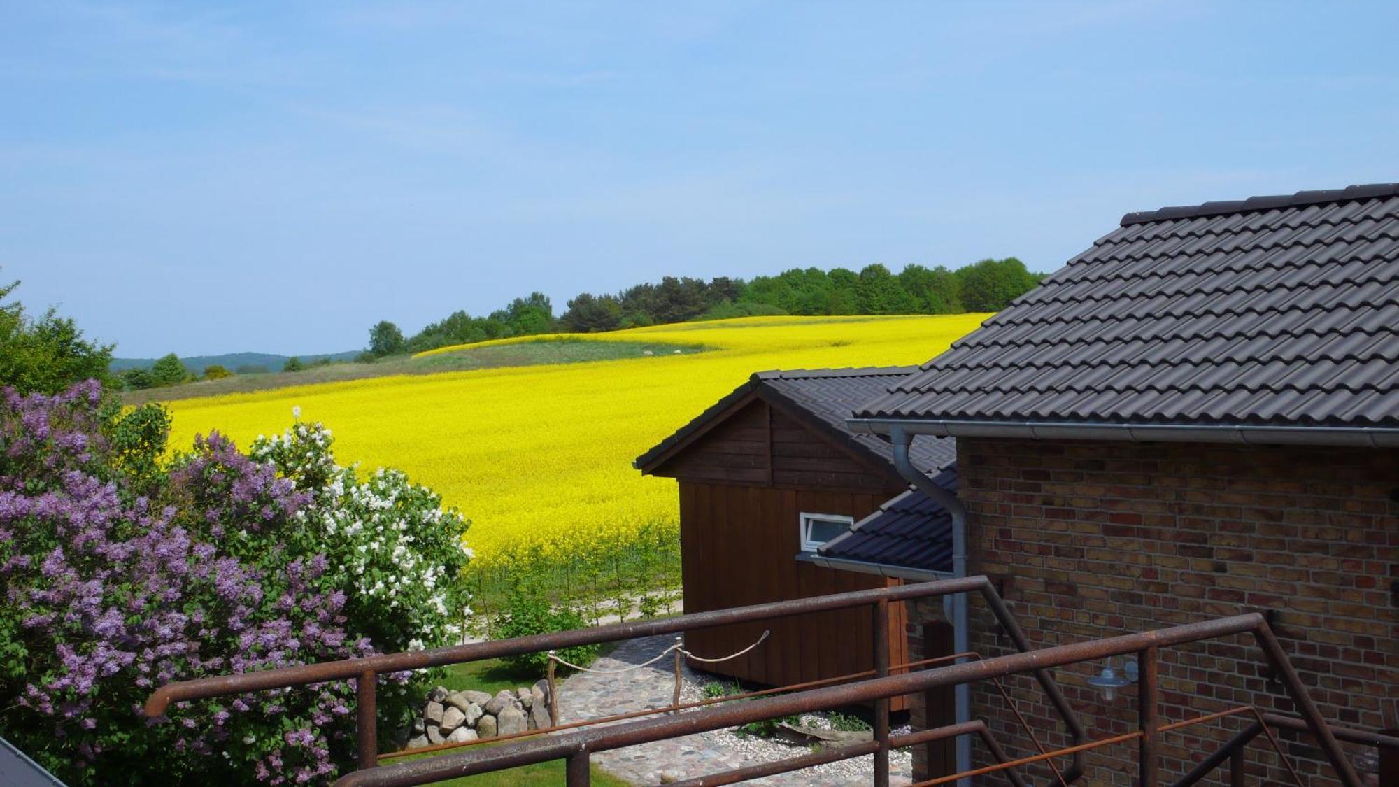Vogelhaus Gobbin Apartment Lancken-Granitz ภายนอก รูปภาพ