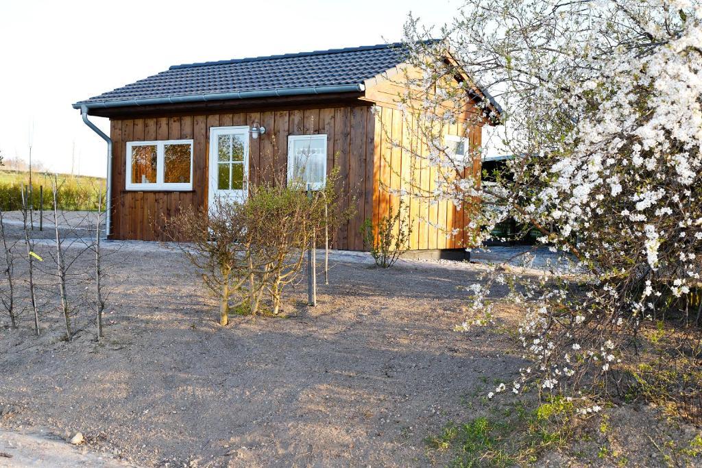 Vogelhaus Gobbin Apartment Lancken-Granitz ภายนอก รูปภาพ